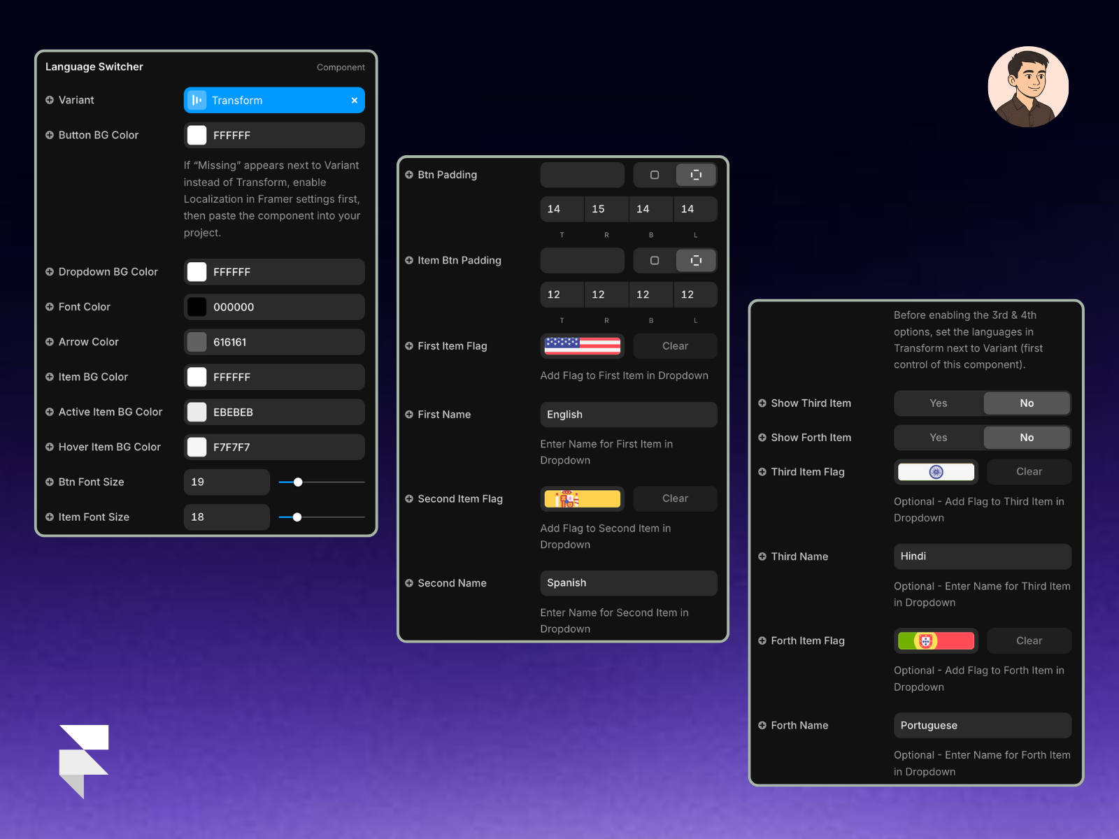 Language switcher Properties Control