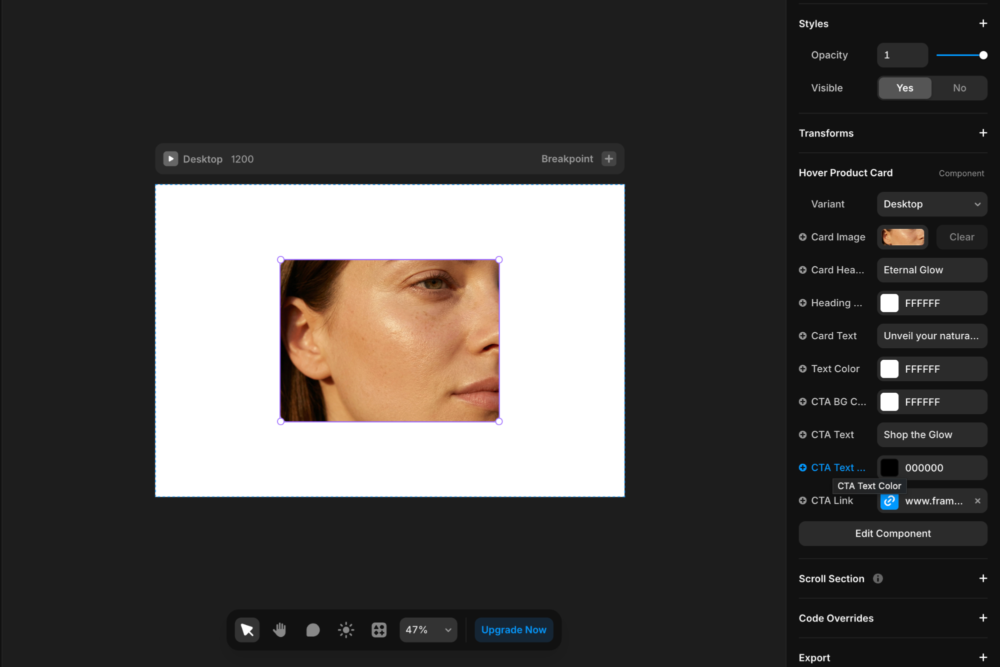 Customization Options