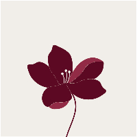 Night Jasmine Studio