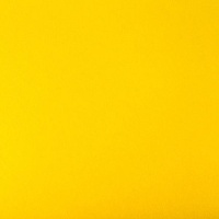 Sebastián Alarcón Wright