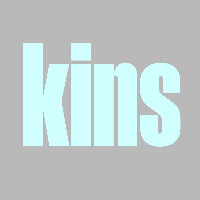 Kins Consultancy