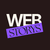 Web Storys Agency