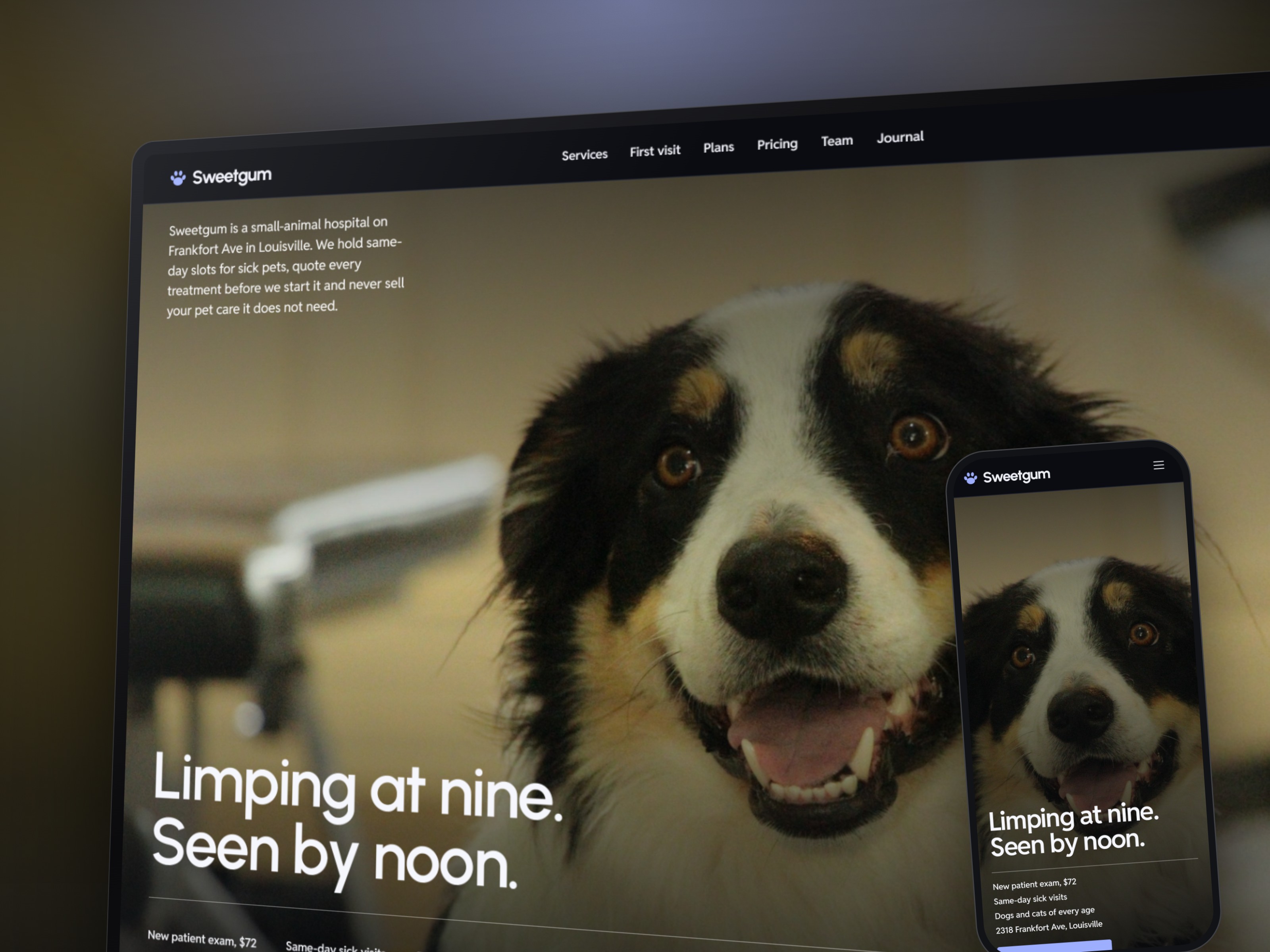 Screenshot 1 of Brindle