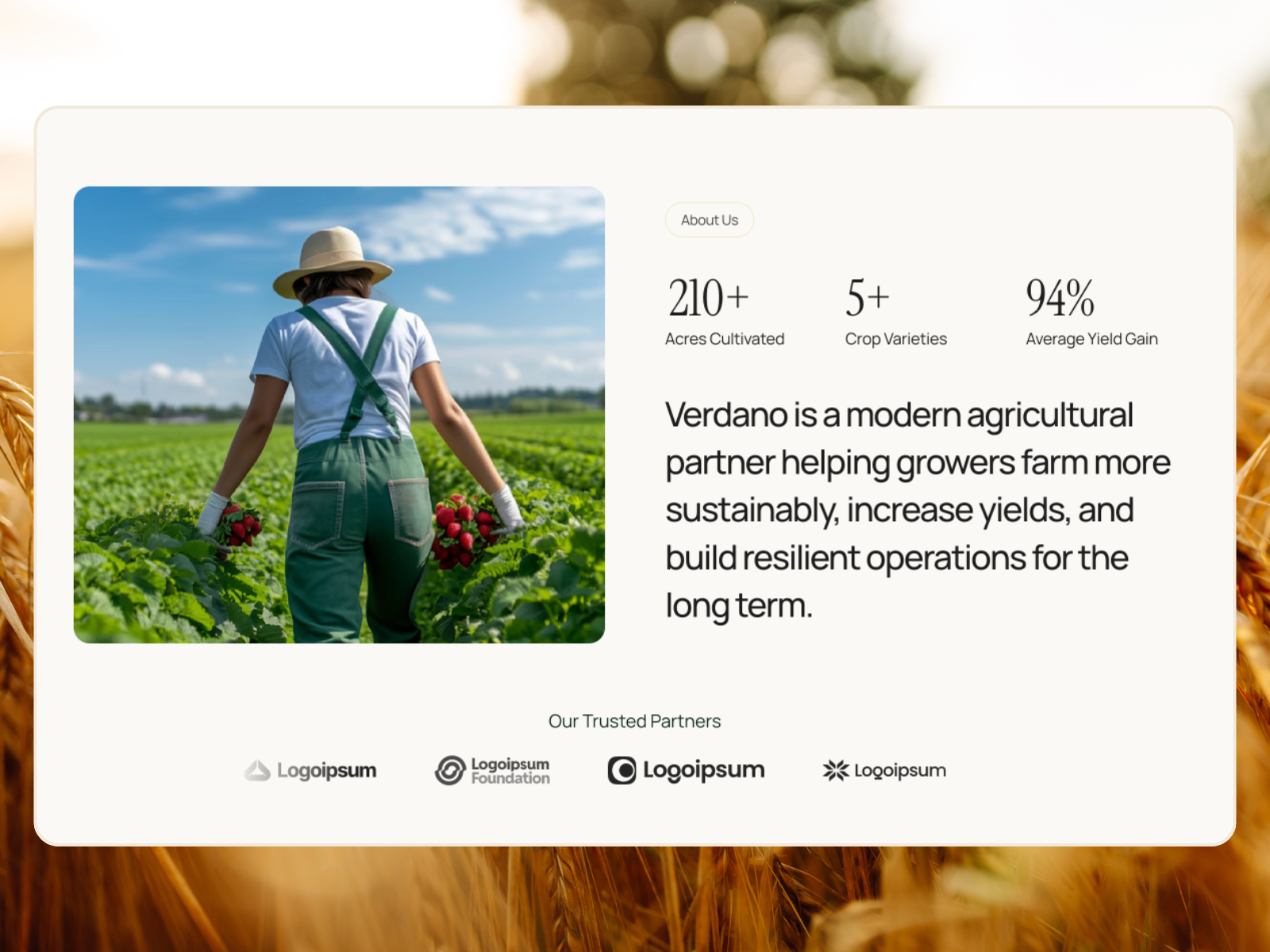 Screenshot 2 of Verdona