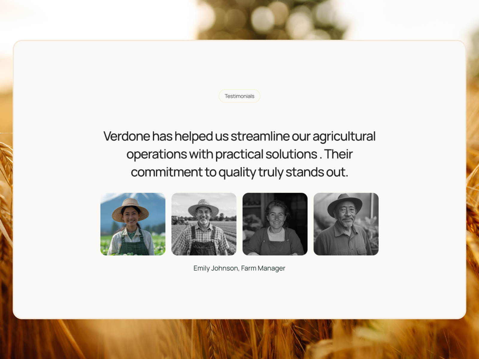 Screenshot 3 of Verdona
