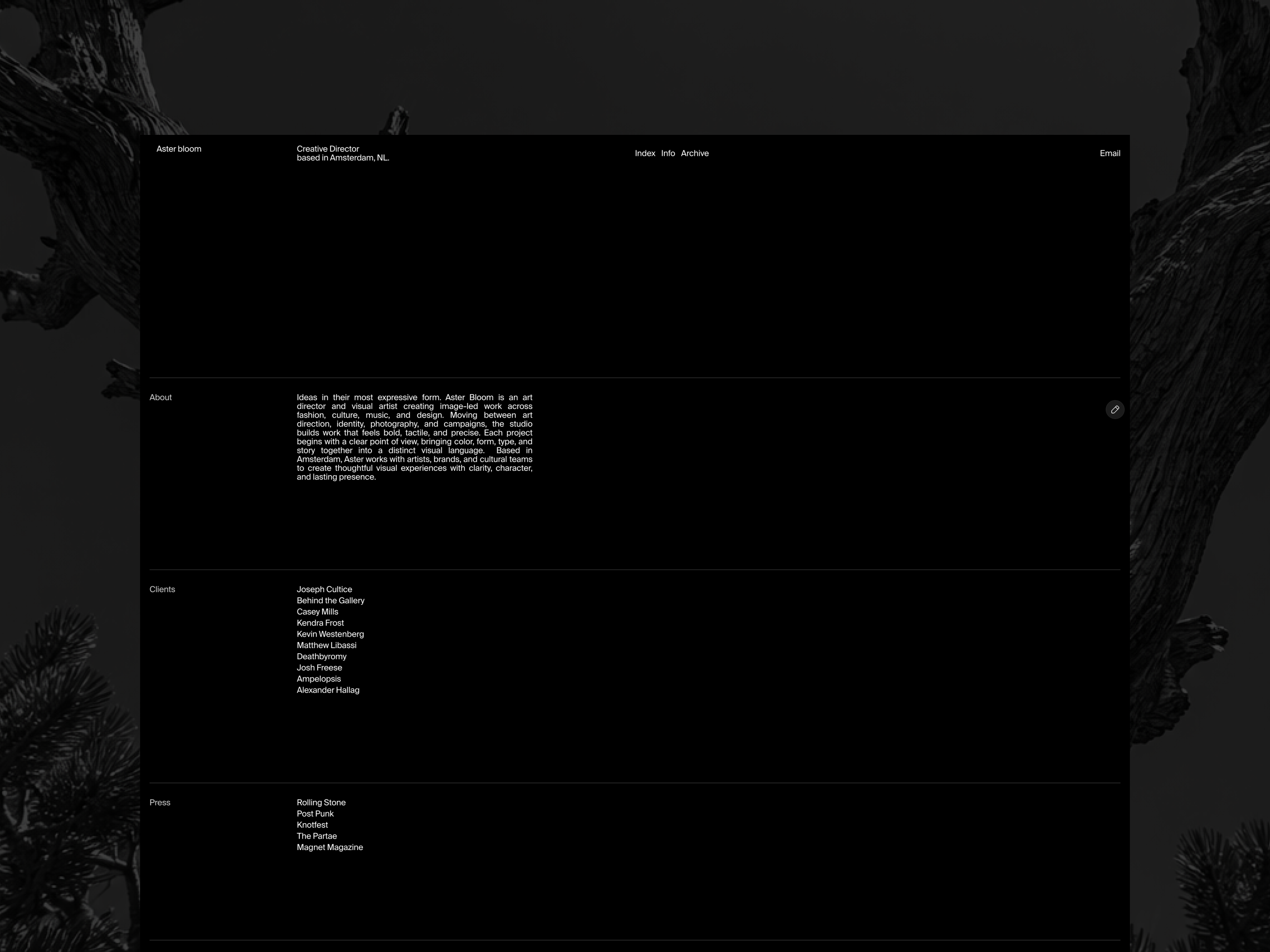 Screenshot 4 of Aster Bloom