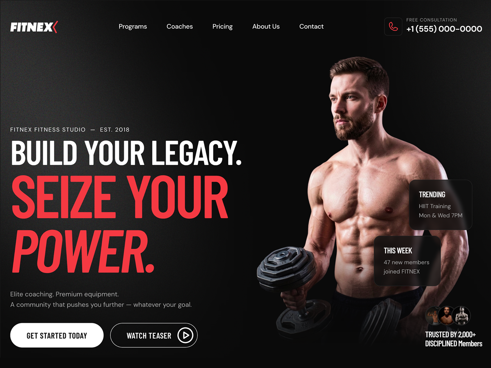 Fitnex Lite Gym by Yasar Akca