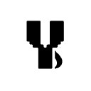 Yinks studio