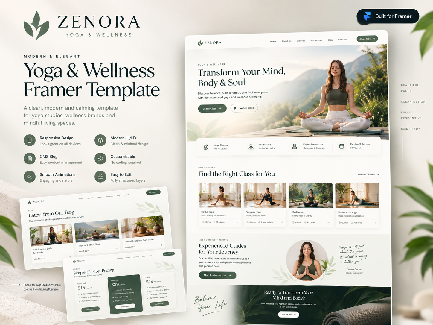 Zenora by Sabbir Hasan