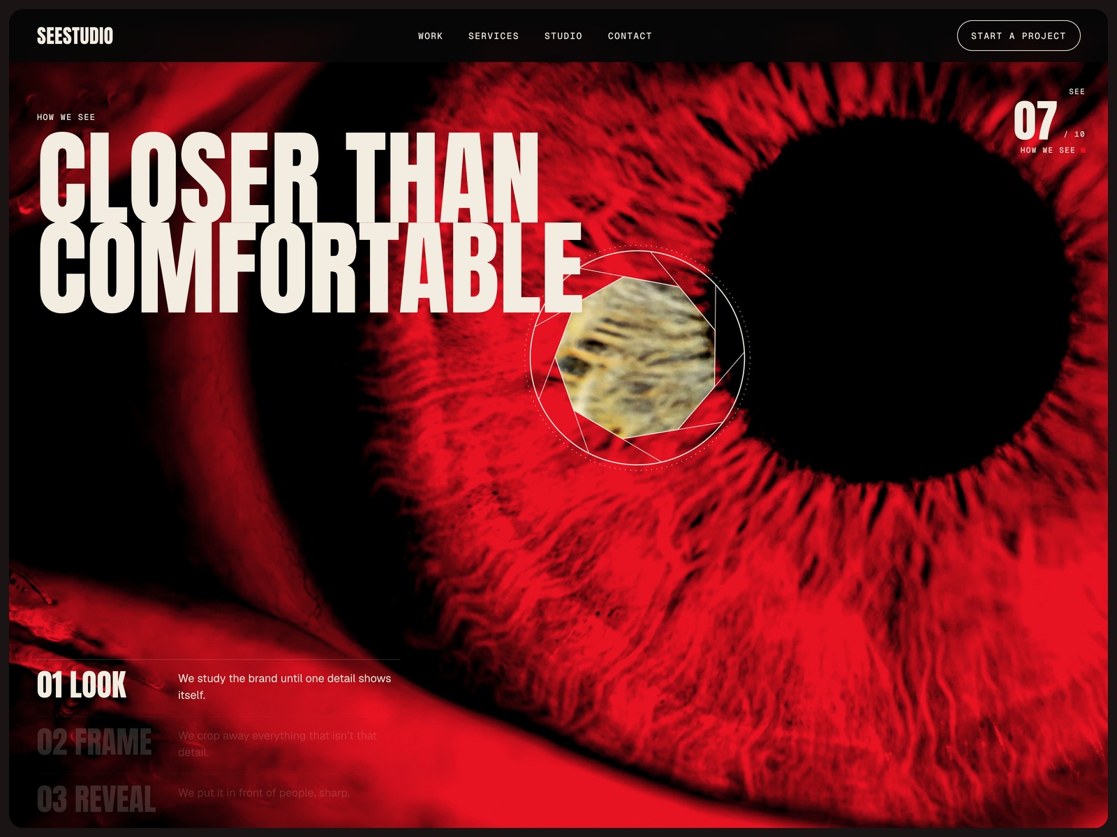 Screenshot 3 of SEESTUDIO