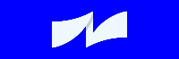 Ameer Nasef