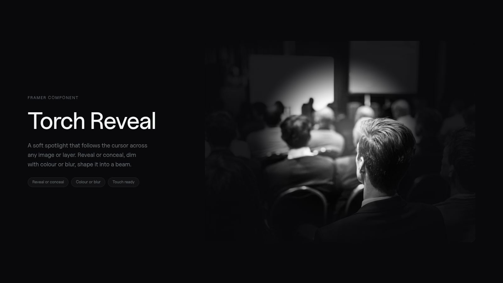 Optional Components Torch Reveal — Component for Framer