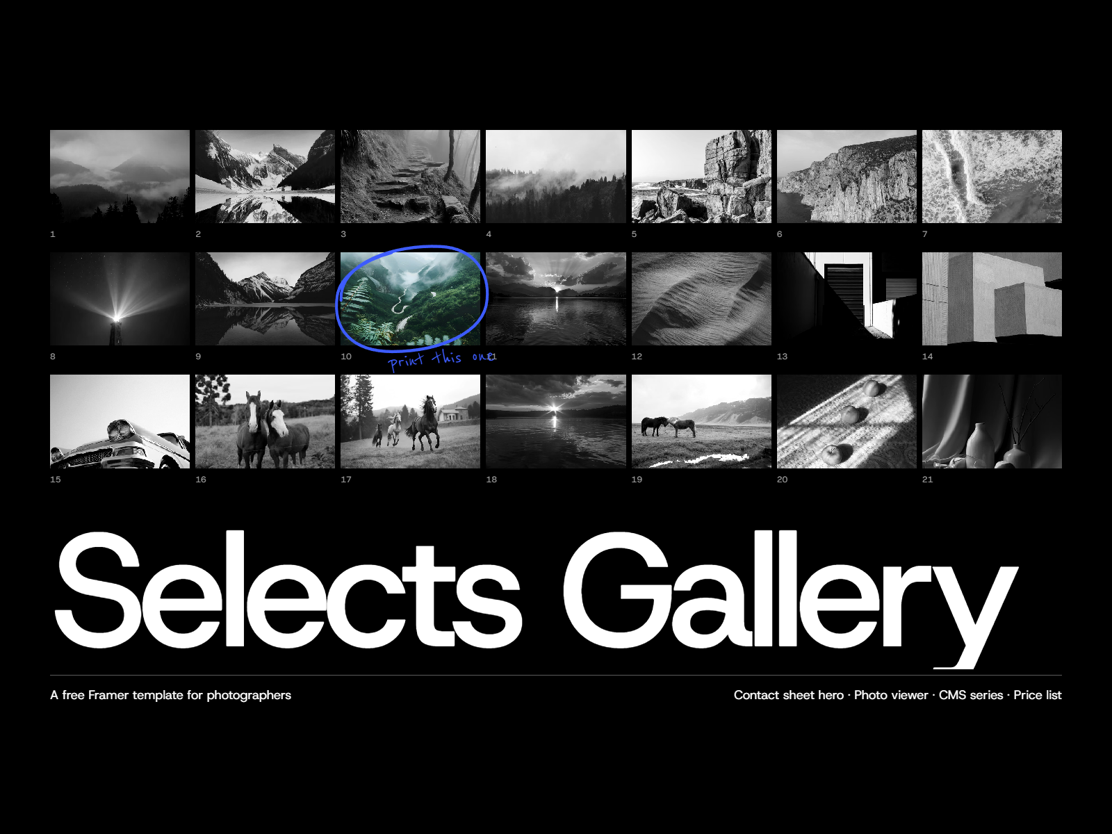 Selects Gallery by Shifate Rabby