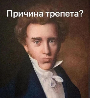 Rasul Magomedov