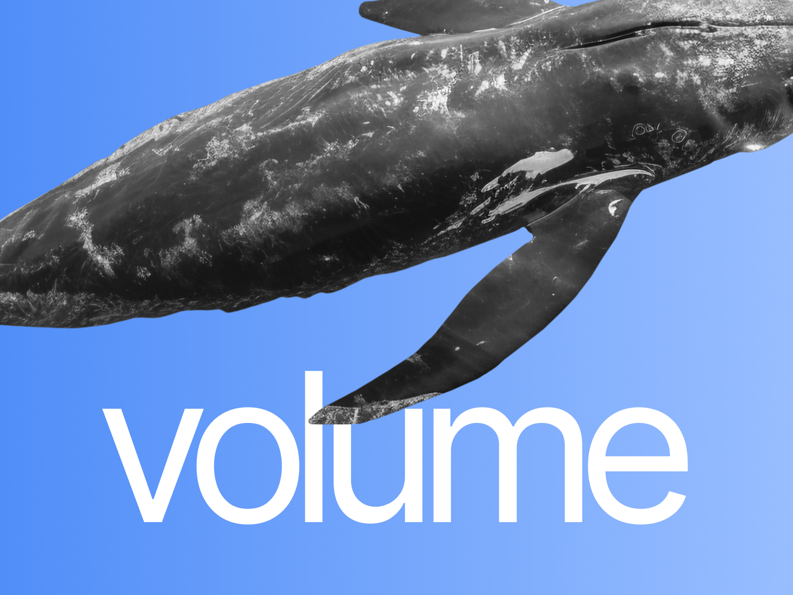 Screenshot 1 of VOLUM