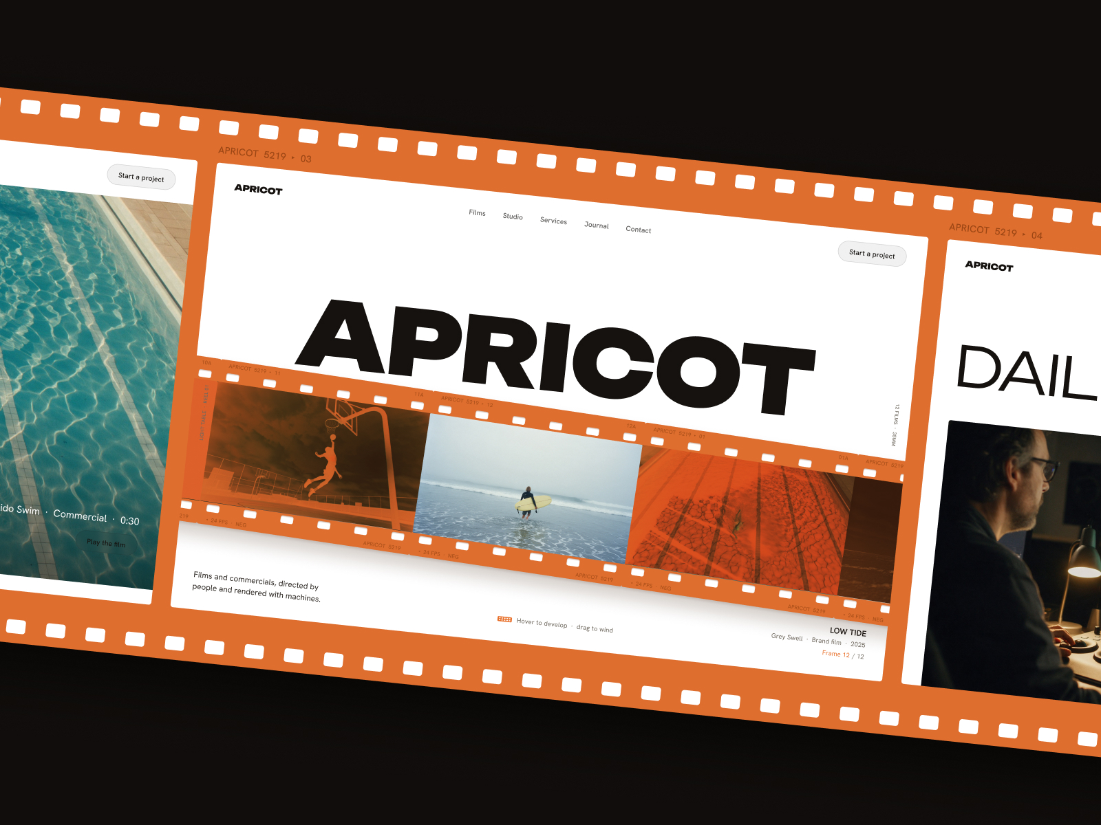 Apricot by Mahmud Azimov