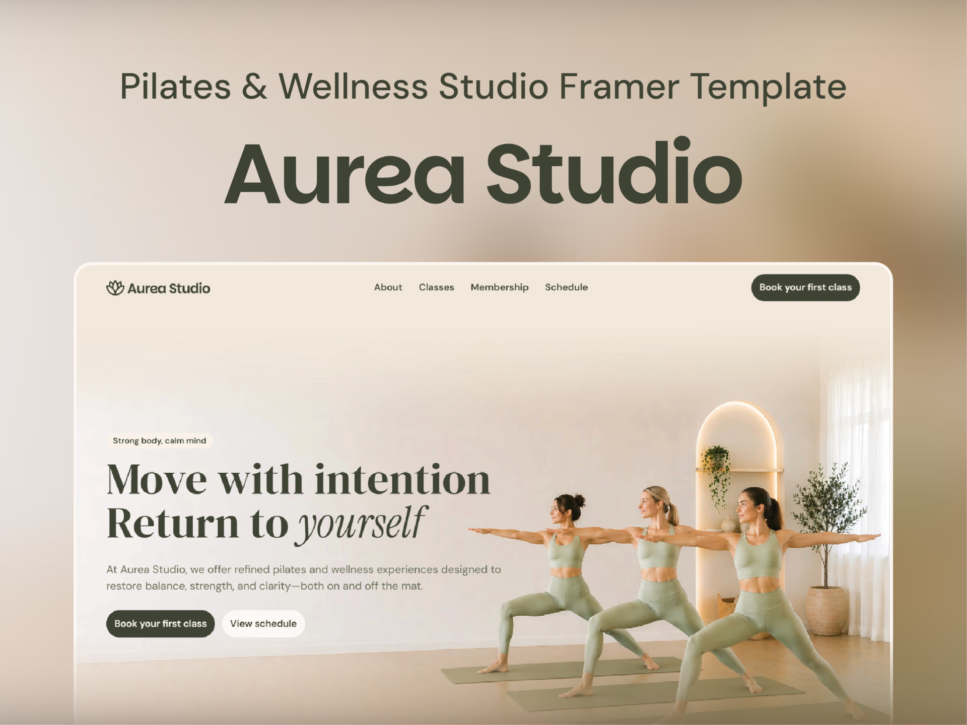 Aurea Studio design