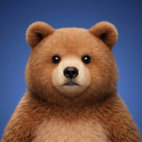 mx.bear