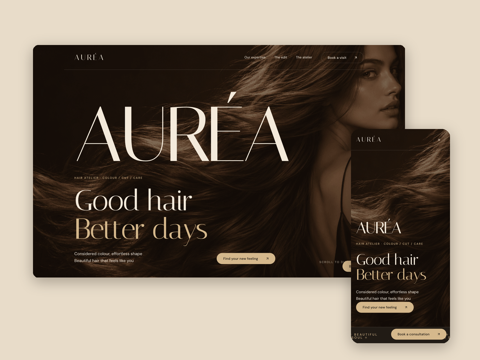 AURÉA Hair by Daiana G