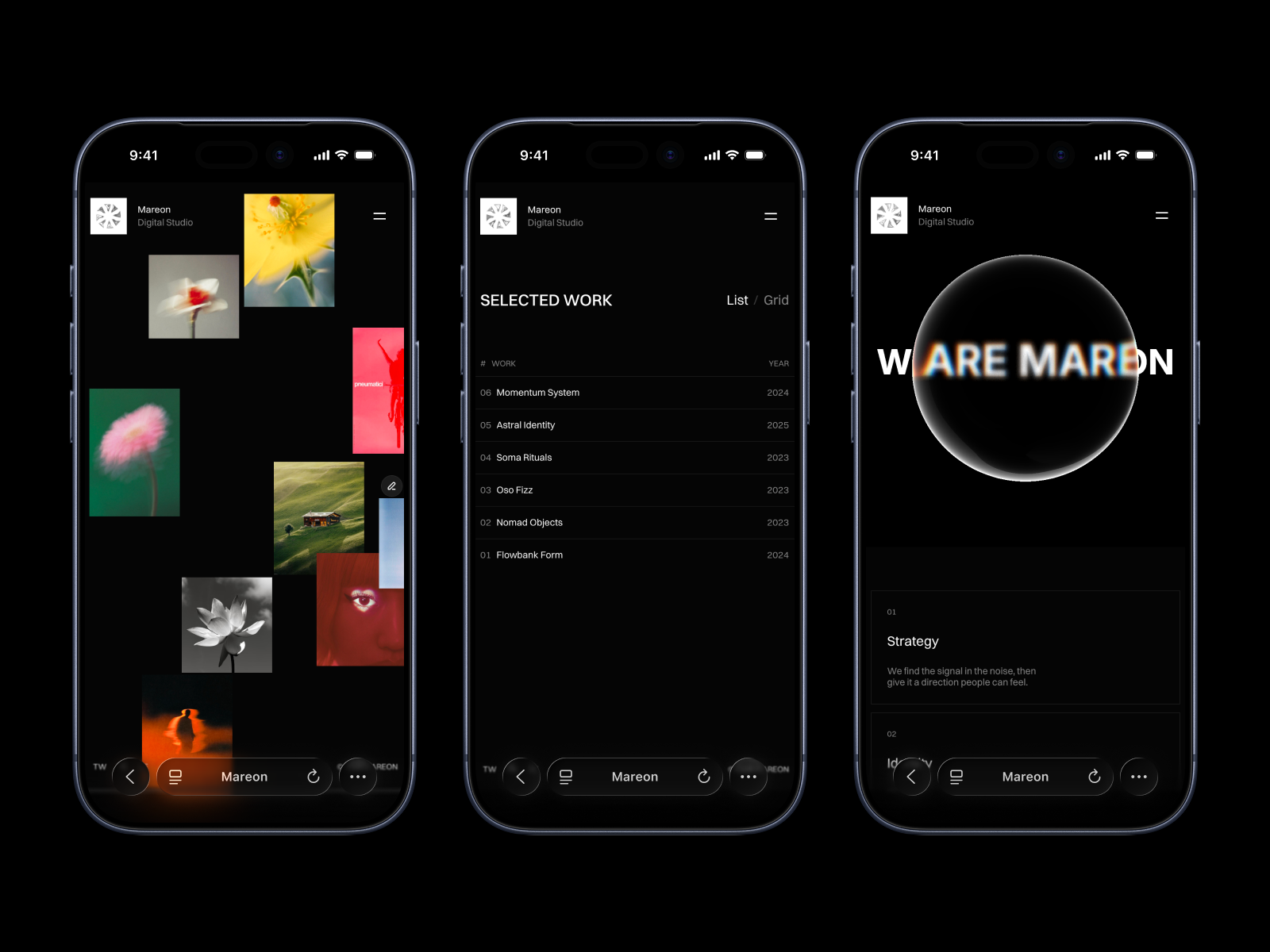 Screenshot 2 of Mareon