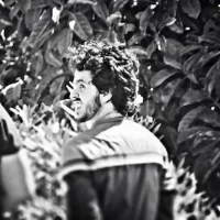 Ely Wahib