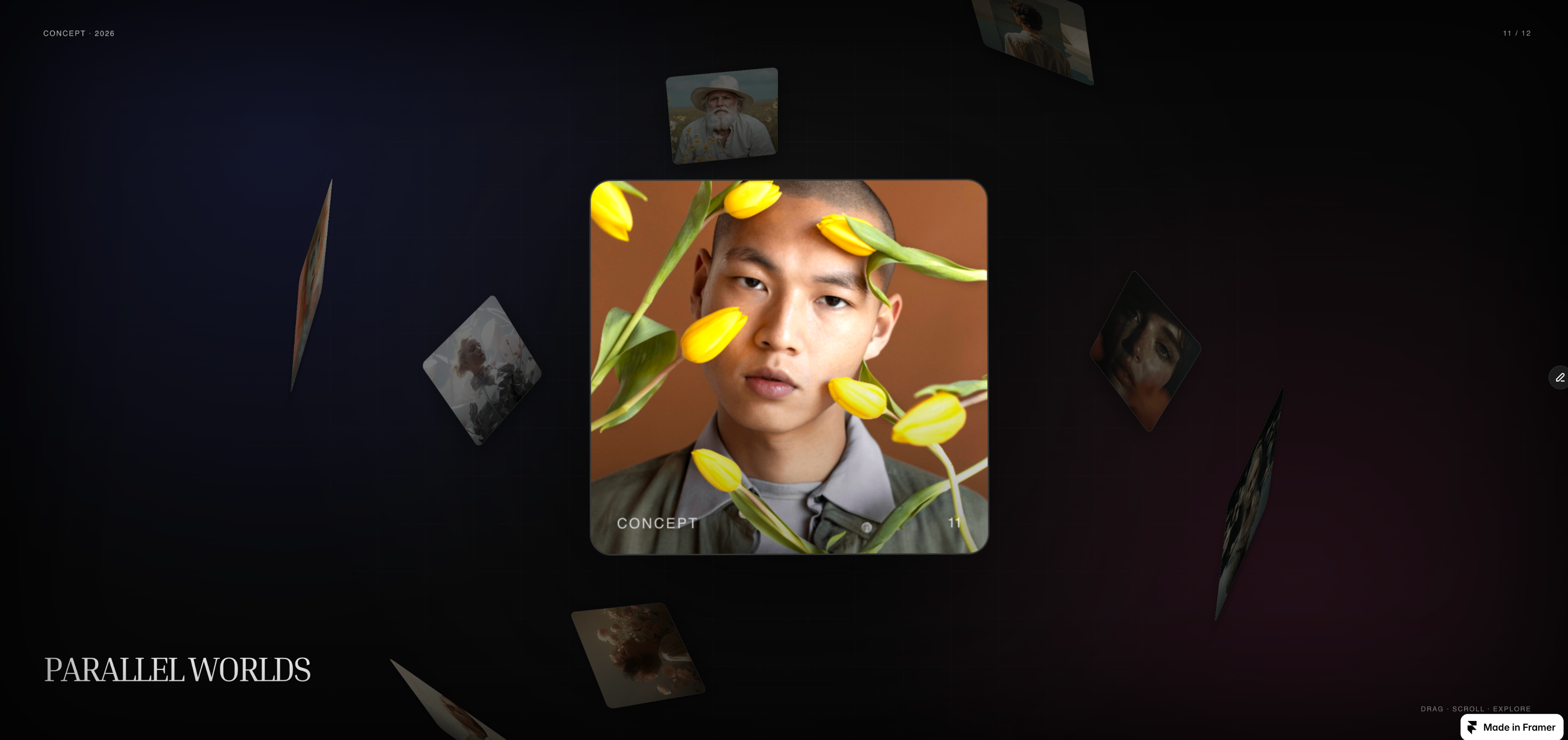 Card Gallery: Premium Interactions Component by hayriye akgüller