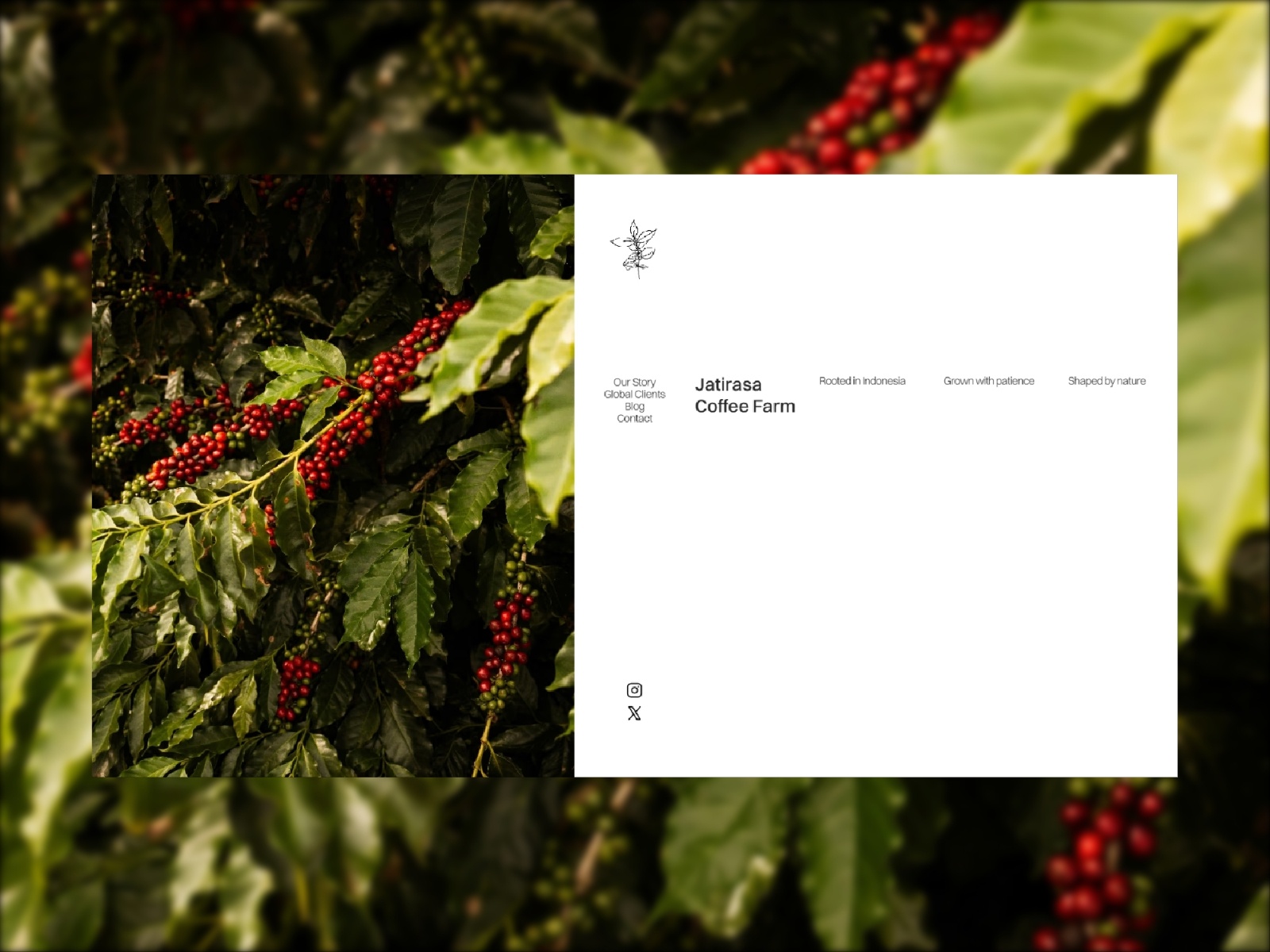 Jatirasa: Free Portfolio Website Template by Flying Solo Studio