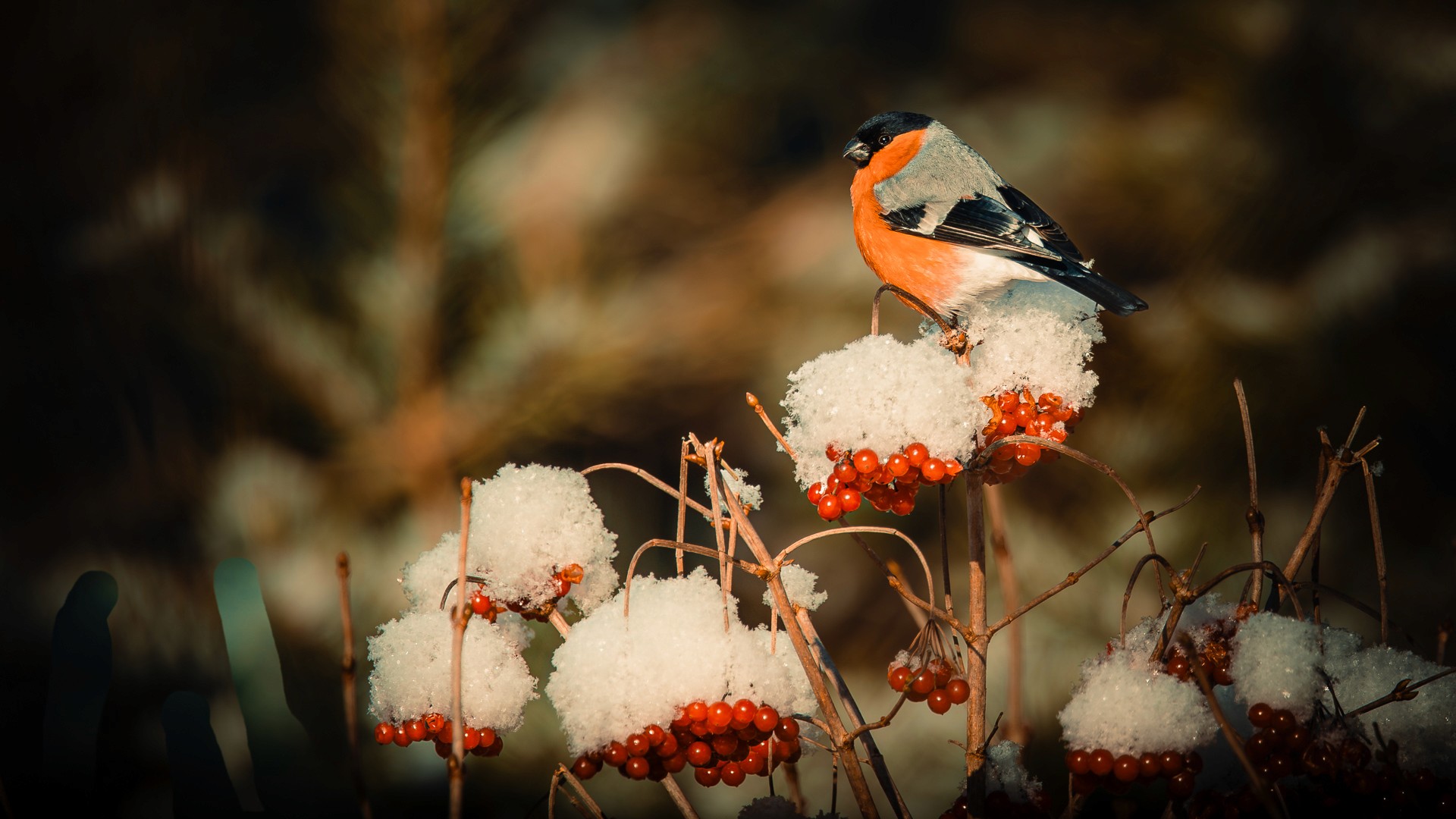 When Strengths Go Too Far | Soomre Newsroom
