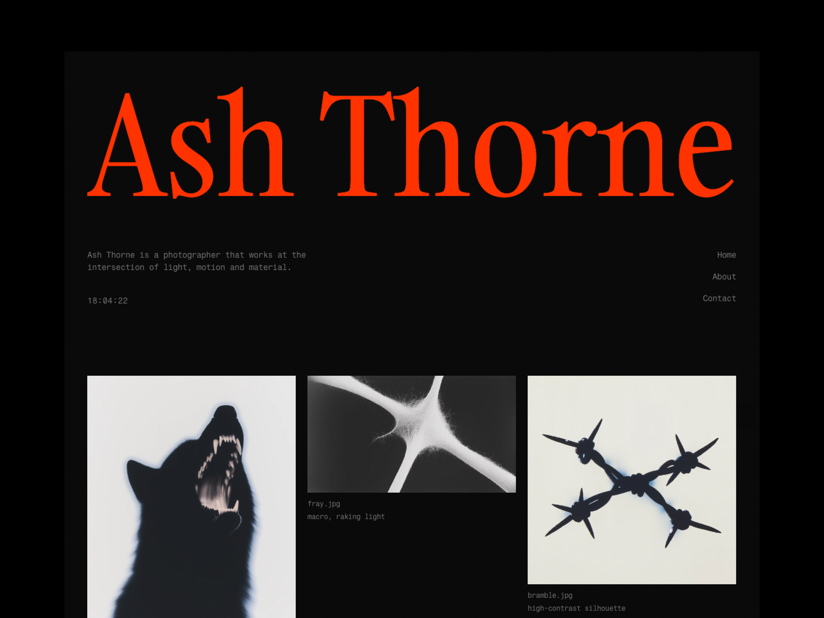 Ash Thorne: Free Portfolio Website Template by Berci Hazman