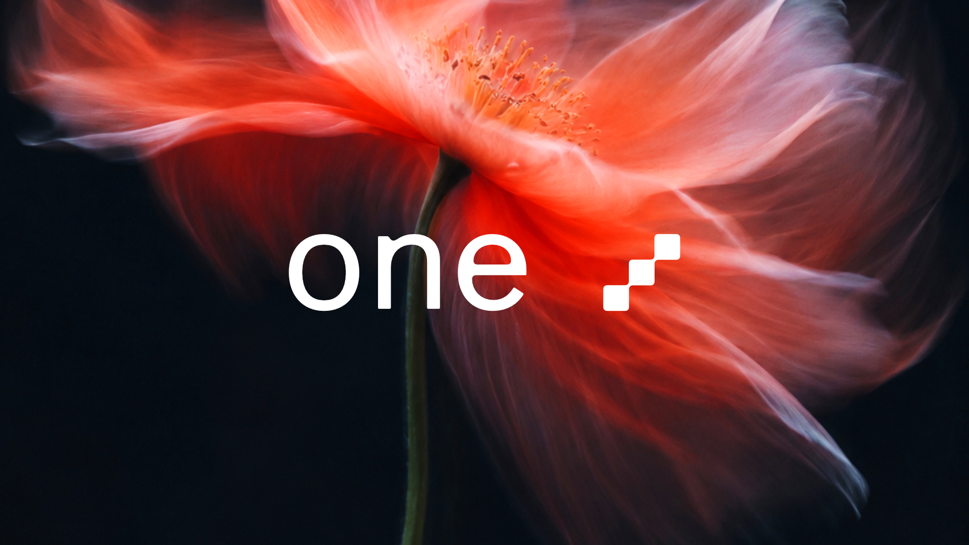 Post by One Supply – Framer Community