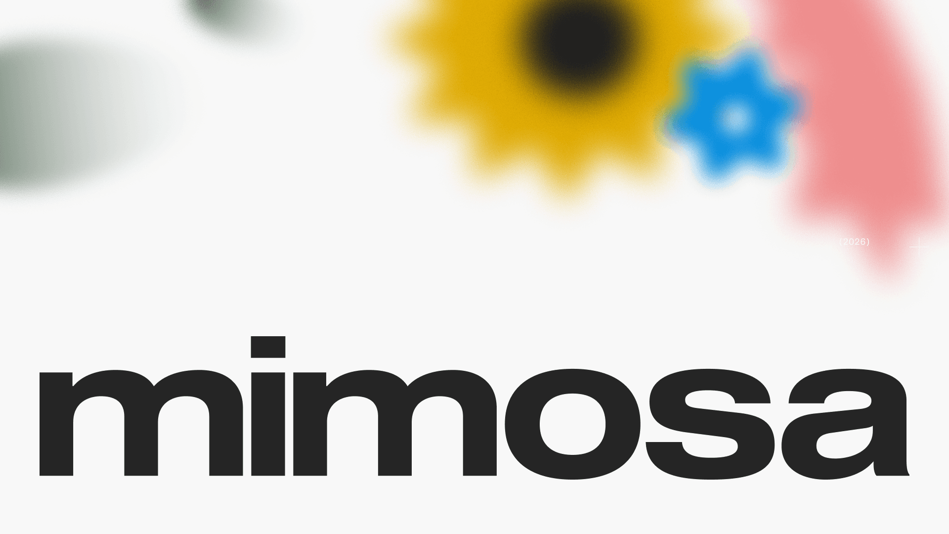 mimosa - Branding & Creative Agency in Berlin
