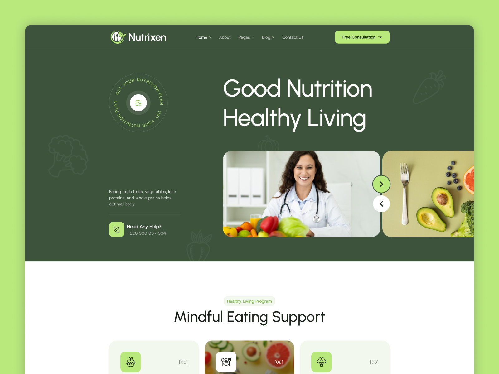 Nutrixen: Responsive Health Website Template by Mezario