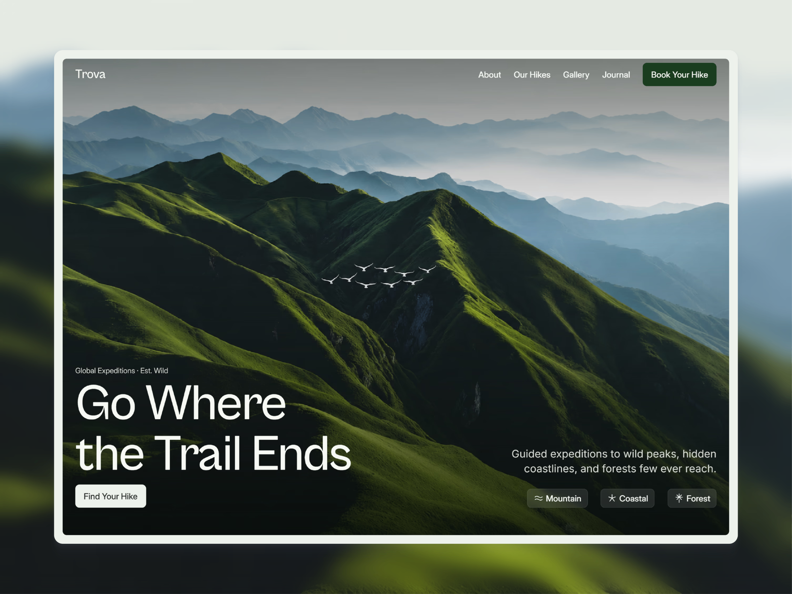 Trova: Free Free Website Template by Arbi Khan — Framer Marketplace